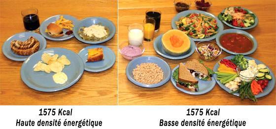 Densité Energétique (densité calorique) le nombre de calories apporté par un gramme d'aliment.