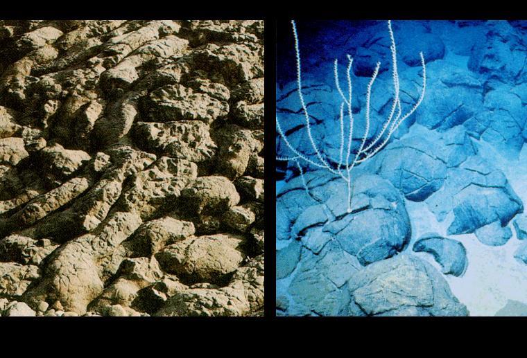 Basalte de l ophiolite (Oman)