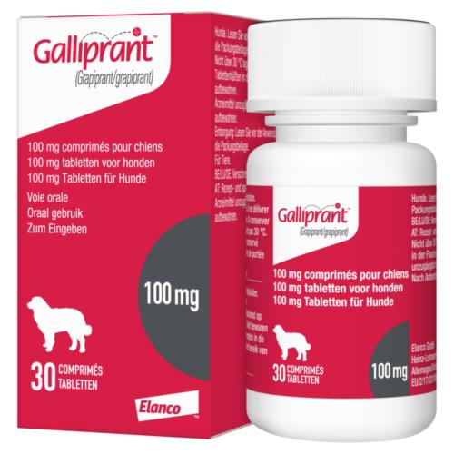 GALLIPRANT 20 mg comprimés pour chiens GALLIPRANT 60 mg comprimés pour chiens GALLIPRANT 100 mg comprimés pour chiens Date de création : 14-03-2019 Date de mise à jour : 03-04-2019 Informations et