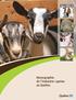 Monographie de l industrie caprine au Québec