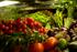 Les fruits et légumes biologiques ont-ils meilleur goût que les fruits et légumes conventionnels?
