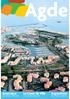 Agde. Exposition. Le Cœur de Ville. Interview. de Gilles D Ettore. un projet d avenir. les frères Azema. Le journal de la Ville.
