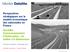 Perspectives stratégiques sur le modèle économique des autoroutes en France Sociétés Concessionnaires d Autoroutes : un métier à 8 dimensions