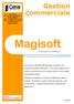 Magisoft. Gestion commerciale. L intelligence Software. Progiciels de gestion pour l industrie