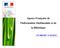 Agence Française de l'information Multimodale et de la Billettique GT SIM AOT 11-03-2010