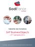 Titre. SAP BusinessObjects. - 2 ème semestre 2014 - CONSEIL, SOLUTIONS DE TRANSFORMATION ET SERVICES IT