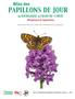 Atlas des PAPILLONS DE JOUR