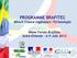 PROGRAMME BRAFITEC BRAsil France Ingénieurs TEChnologie. 8ème Forum Brafitec Saint-Étienne - 6-9 Juin 2012