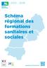 Schéma régional des formations sanitaires et sociales