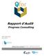 Rapport d'audit Progress Consulting