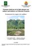 Principes généraux de la lutte intégrée sur cultures maraîchères en Polynésie française