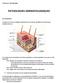 PATHOLOGIES DERMATOLOGIQUES