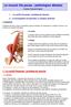 Le muscle ilio-psoas : pathologies distales