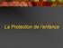La Protection de l enfance
