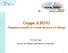 Grippe A/H1N1 Situation actuelle et circuit de prise en charge. VU HAI Vinh Service des Maladies Infectieuses et Tropicales