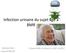 Infection urinaire du sujet âgé à BMR. Barbara KULI Laurent BELLEC