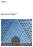 Industries Secteur Public. Secteur Public*