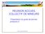 REUNION ACCUEIL COLLECTIF DE MINEURS