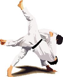 ACTUALITÉS SPORTIVES Tournoi de l Ascension au Judo par Yoann CHODOT, président de l AJCB P our la cinquième fois, l Association du Judo Club du Bayonnais a organisé son tournoi interclubs.