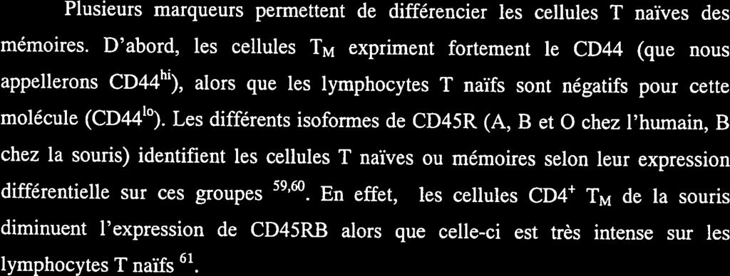 D abord, les cellules M expriment fortement le CD44 (que nous appellerons CD44 ), alors que les lymphocytes T naïfs sont négatifs pour cette molécule (CD44 ).