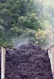 Le compost mûr bien appliqué a toute une série d effets positifs sur les plantes et les sols du jardin C est un véritable «fait-tout».
