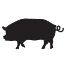 Le PORC Le Porc est doté d un physique solide et d un amour de la vie à toute épreuve.