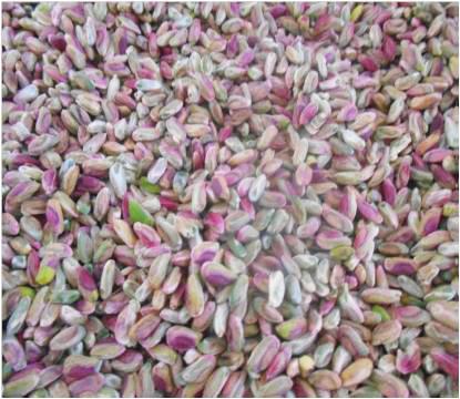 La valorisation des pistaches peut avoir donc plusieurs voies : - Les pistaches écalées et pistaches décortiquées pelées ou émondées, débarrassées de leur péricarpe protecteur et