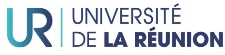 POLE RECHERCHE Ecoles Doctorales LETTRE D ENGAGEMENT DE NON-PLAGIAT Je, soussigné(e) Arthur AH-NIEME, en ma qualité de doctorant(e) de l Université de La Réunion, déclare être conscient(e) que le