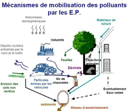 Figure 5 : Pollution transférée au réseau d assainissement lors d épisodes pluvieux (source : Barraud S., Fouillet B.