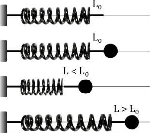 Grandeurs caractéristiques d un ressort idéal droit Longueur à vide (ou longueur au repos) l 0 : longueur lorsqu il ne subit aucun effort (par exemple lorsqu il est posé sur un support horizontal) ;