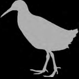 5 Commission «migrateurs terrestres et oiseaux d eau» La Fédération des chasseurs de la Somme travaille uniquement avec l institut scientifique nord est atlantique (ISNEA).