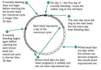 Comment fonctionnent les méthodes de connaissance de la fécondité?
