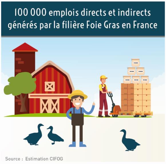 Cinq grandes régions françaises sont particulièrement concernées par la production du Foie Gras : Nouvelle Aquitaine, Occitanie, Bretagne, Pays de la Loire et Alsace mais, on trouve également des