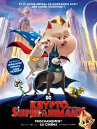 Krypto et les Super-Animaux EN AVANT-PREMIÈRE Durée : 1:46 Genre : Aventure, Animation, Famille, fantastique Réalisé par