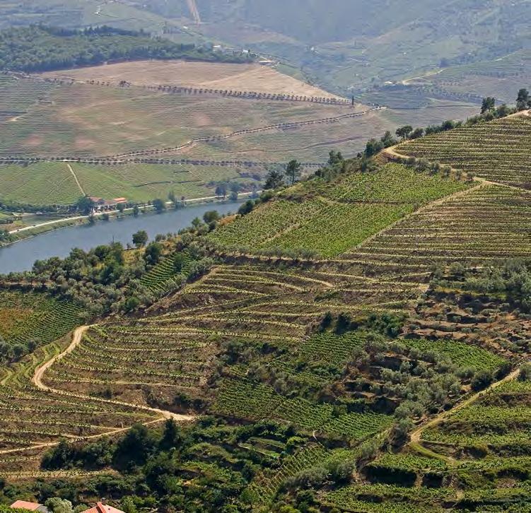 RÉGIONS DOURO ALENTEJO VINHO VERDE Le Douro est sans doute la région viticole la plus évocatrice du Portugal.