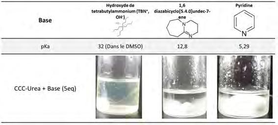 Acide oxalique dihydraté, ACS, 99,5-102,5 %, Thermo Scientific Chemicals