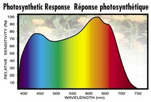 Eclairement énergétique Flux lumineux pondéré par l œil humain (photométrie) Flux lumineux actif pour la photosynthèse W/m² Lux (lumens/m²) µmol/m²/sec Cette bande spectrale couvre le domaine 400-700