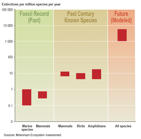 Le schéma. Taux d'extinction des espèces. (adapté de C fig..). L'expression "Données fossiles" se rapporte aux taux moyens d'extinction tels qu estimés à partir des données fossiles.