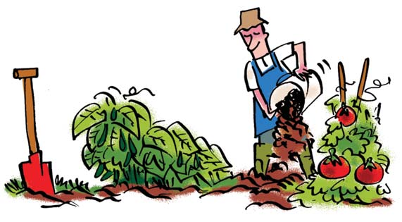 9. Comment utiliser votre compost? * Paillis : couche de paille destinée à préserver l humidité du sol, à protéger certains fruits du contact de la terre. A.