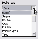 De ce fait, la liste Couleur et la case à cocher «Mot par mot» reliées à Soulignage sont grisées donc inactives.