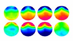 Appraisal processes in emotion elicitation: a topographic electrophysiological approach. Human Brain Mapping, New-York: USA.