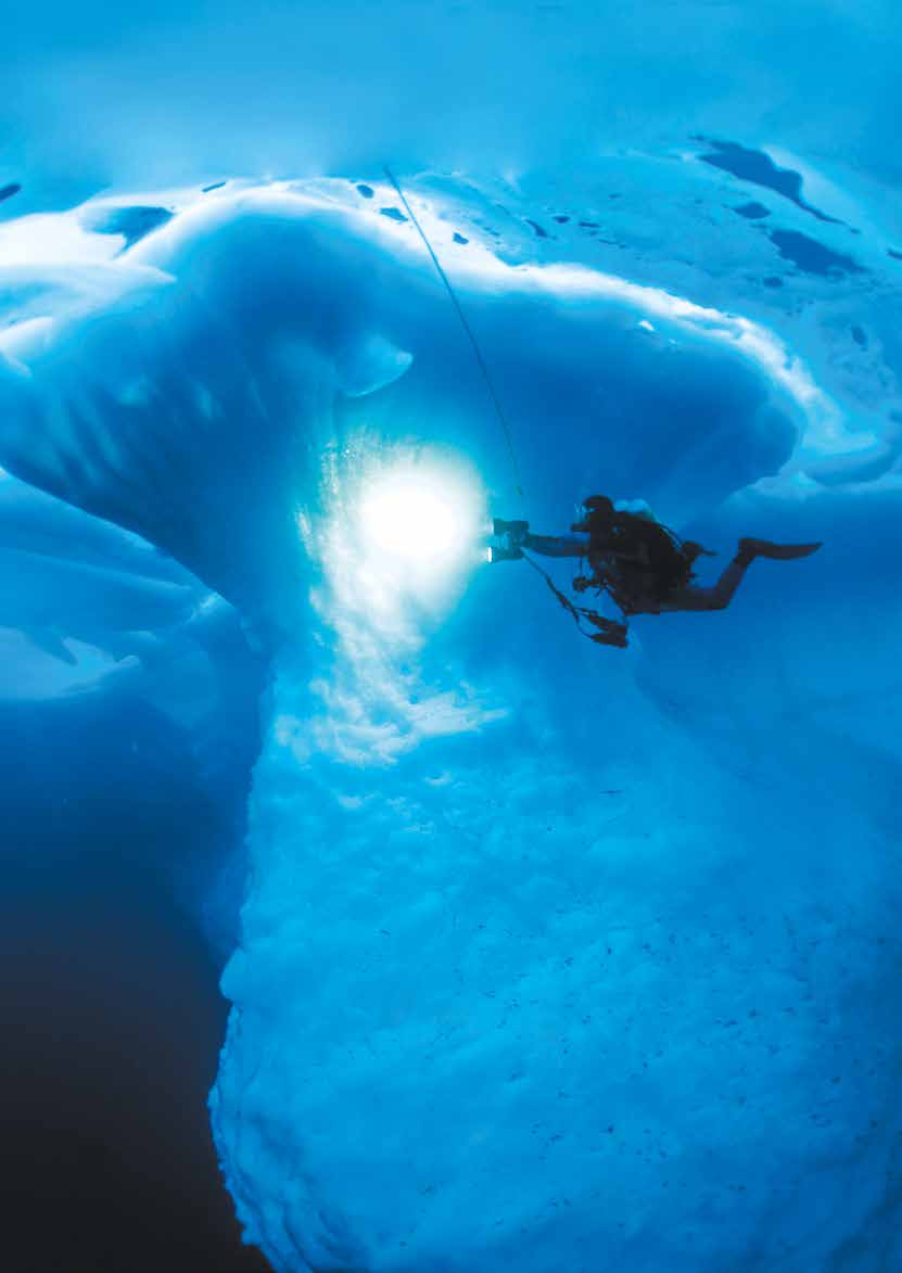 CAP SUR L ARCTIQUE! En 2014, dans le cadre de ses missions sur l environnement et la respiration, la Fondation Air Liquide soutient l expédition polaire Under the Pole II.