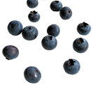 يوسفي 柑 / 桔 Mandalina Myrtille Blueberry