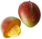 Fruits frais Moyenne 370 g 278 g 185 g 93 g
