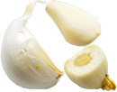 30 g 23 g 15 g 8 g Ail (à négliger si utilisé en petite quantité) Garlic