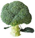 65 g 49 g 33 g 16 g Brocoli Winter cauliflower Brocoli القرنبيطالا خضرا