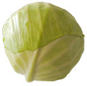 145 g 109 g 73 g 36 g Chou blanc Cabbage Repollo blanco الكرم الا بيض 白 椰