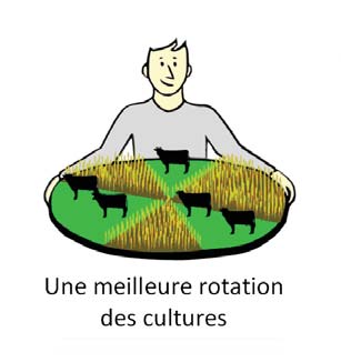 1.2 Les cultures Regrouper les parcelles permet d améliorer la gestion agronomique des sols.