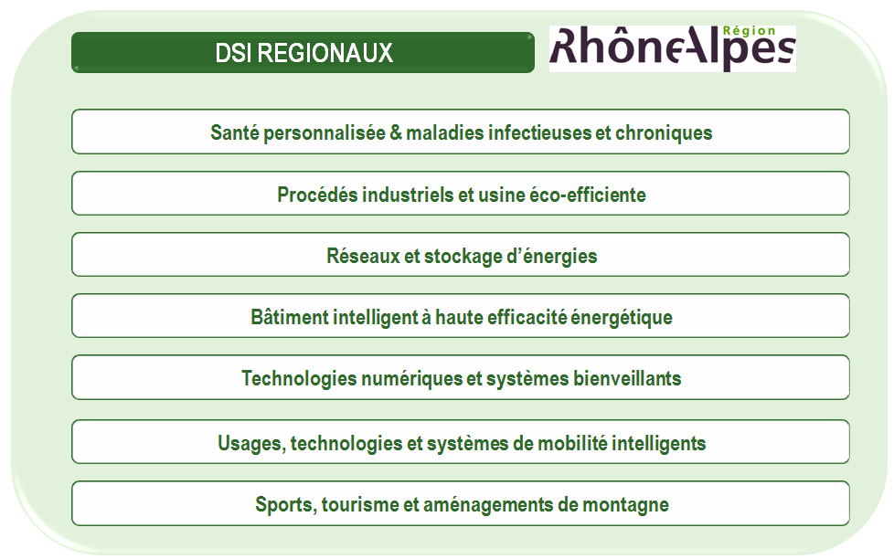 Ces 7 DSI correspondent à des domaines d excellence territoriaux, mais leur échelle pertinente est celle du territoire régional.