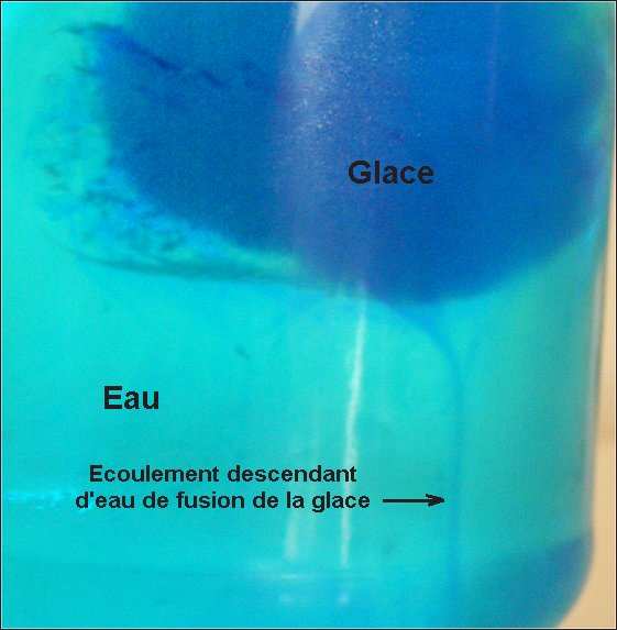 de fusion du glaçon (colorés en bleu, donc bien visibles, surtout au début de l expérience) s écoulent vers le bas. L eau froide, plus dense, a tendance à descendre.